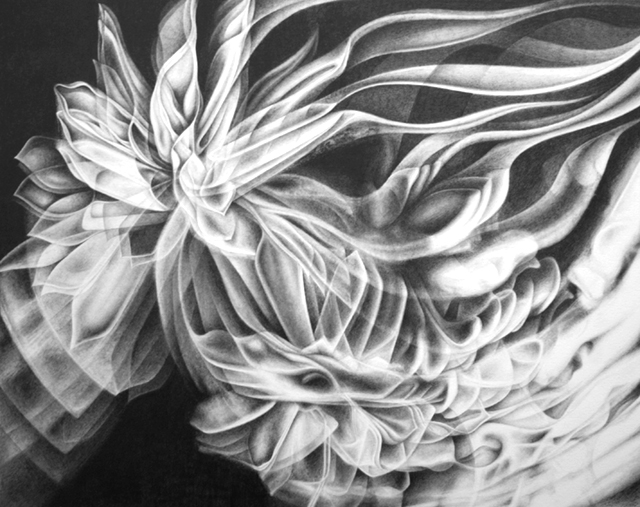 "Together our intentions grow stronger", 11" x 14", graphite on paper, 2008