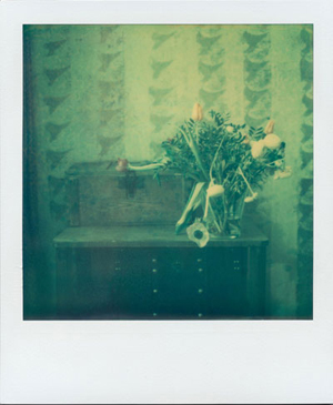 9.-Detail-Polaroid-Segments-of-substantiality