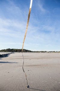 "Defiance I"; from the long-term project 'Along Silent Paths' 2015 35x24", Archival Inkjet on Paper