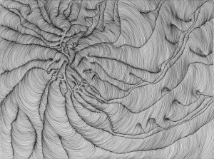 Himalaya 2012 Ink on paper, 20x28"