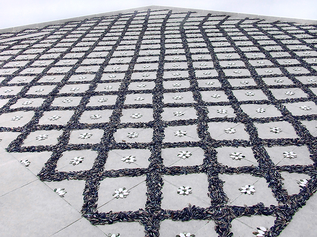 Seeded Floor, floor installation, 380x500 cm, 2010