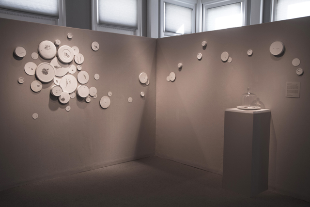 “Symbiotic Crisis: Carnegie”, graphite and mixed media, variable size, 2014