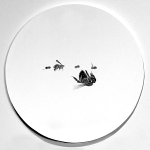 “Symbiotic Crisis #45”, graphite, 6 ¾” diameter, 2014