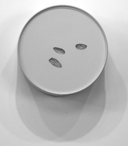 "Symbiotic Crisis #33”, graphite, 6 ½” diameter, 2014