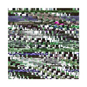 Untitled 9 Year: 2014 Medium: Archival Inkjet Print Size: 30” x 30” 