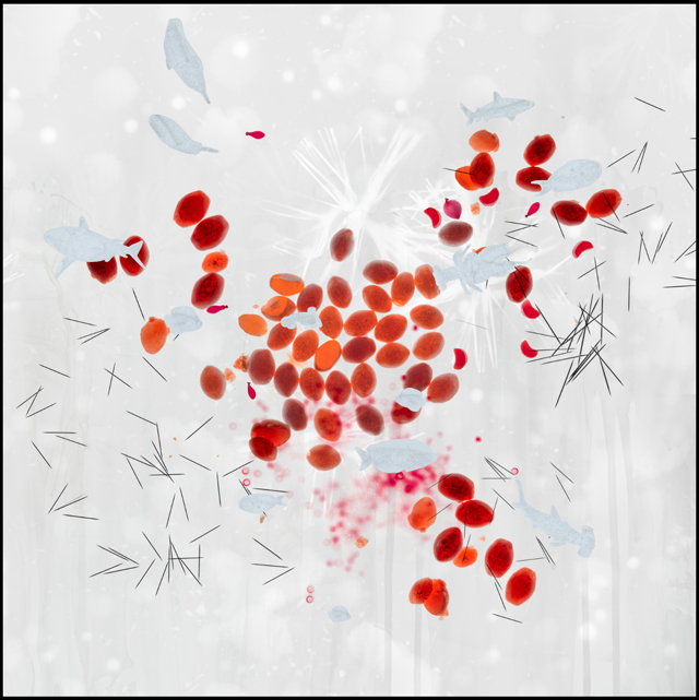 Super Nova, inkjet print, 36x36 inches, 2015