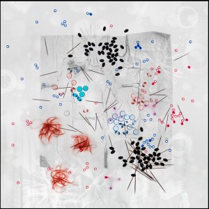 Battle Ship, inkjet print, 36x36 inches, 2015