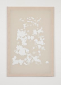 If It Could Play The Piano, It Would Really Play (Central Park Dapple) chalk, cotton fabric on stretcher bars 24 x 36 inches 2012