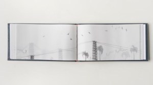 Migration - inkjet printing on vellum - 12x22cm - 2014