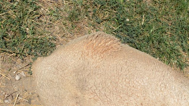 What Was I? (still), 2015, HD video