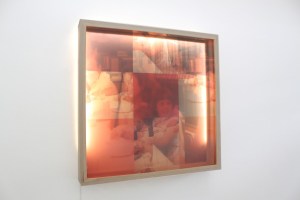 Family Dinner in Sequence of Red 36''x6''x36'', 2015 Birch wood box holding two plexiglass panes with inkjet printed transparencies mounted to each.