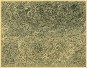 As Is, Ink on parchment paper, 12in x 9in, 2015