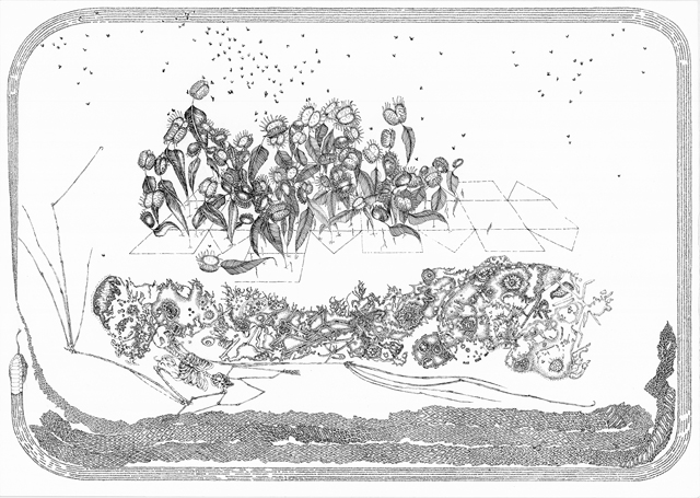 Longevity and Decay, Ink on rag paper, 27in x 19.5in, 2014