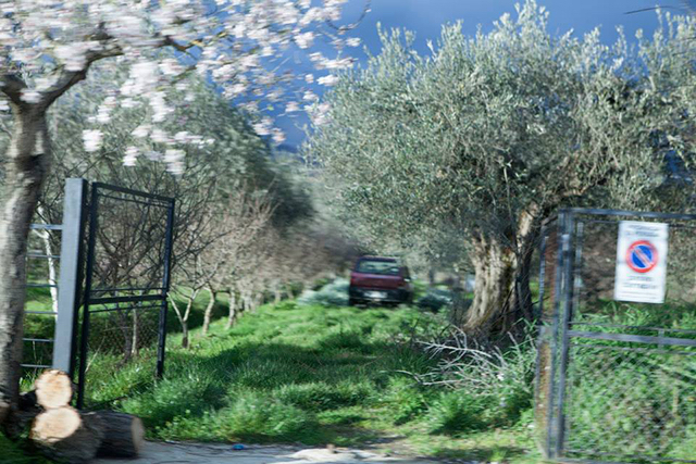 Photograph from PES - 2014 - PHOTOGRAPHY + VIDEO INSTALLATION