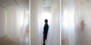 Repulsive Attraction hog gut 8’×8’×5.5’ 2013