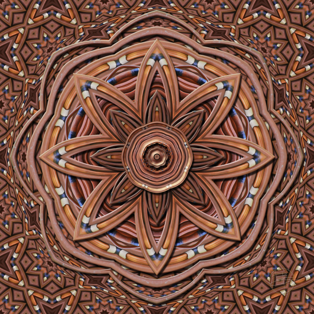 Twig Digital Art/Reimagined Photograph 24 x 24 inches 2015