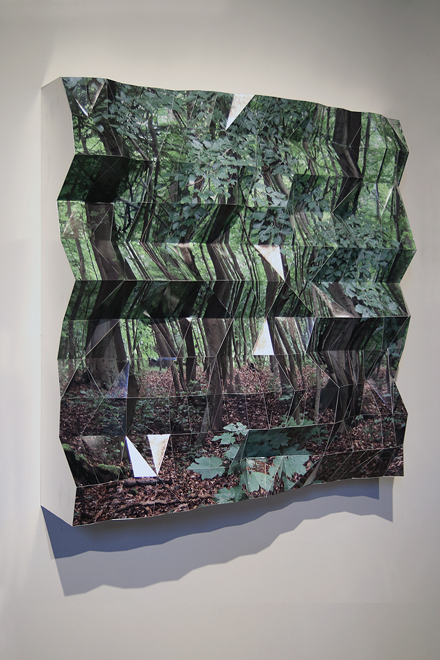 The Growth Imperative · Pure Growth (2015) Archival pigment print on Hahnemühle Photo Rag Pearl, museum matboard, adhesives, and other materials · 100x100x25cm