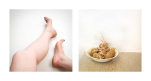 An Apple from the Earth, Archival Pigment Print, 10” x 20,” 2015