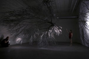 Within The Mystery Are Answers to the Unknown. 36’ Siberian Elm tree, wire, flashlights. Satellite Gallery, Lubbock, Texas. 2014.