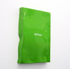 Reptilia,-2015,-paint-on-aluminium,-20x30x3-cm