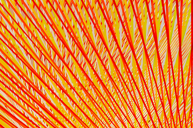 Title: "Rewritten by machine on new technology" (detail shot) Year: 2014 Medium: flagging tape, wood, paint, hardware Size: 30' x 30' x 30' 